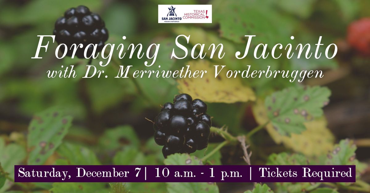 Foraging San Jacinto with Dr. Merriwether Vorderbruggen 