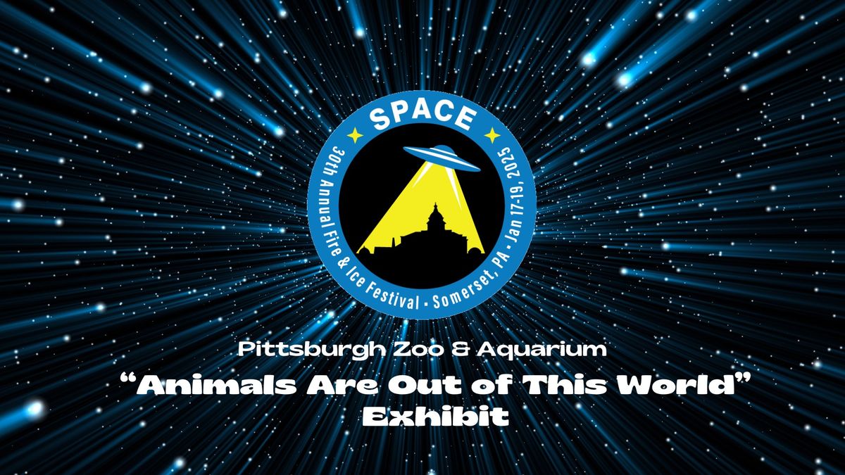 Pittsburgh Zoo "Animals Are Out of This World" Exhibit - Fire & Ice Festival