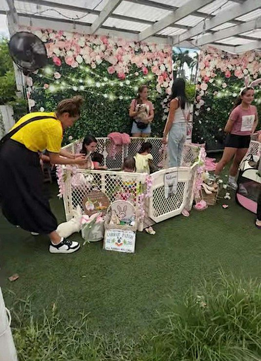 Event Photos