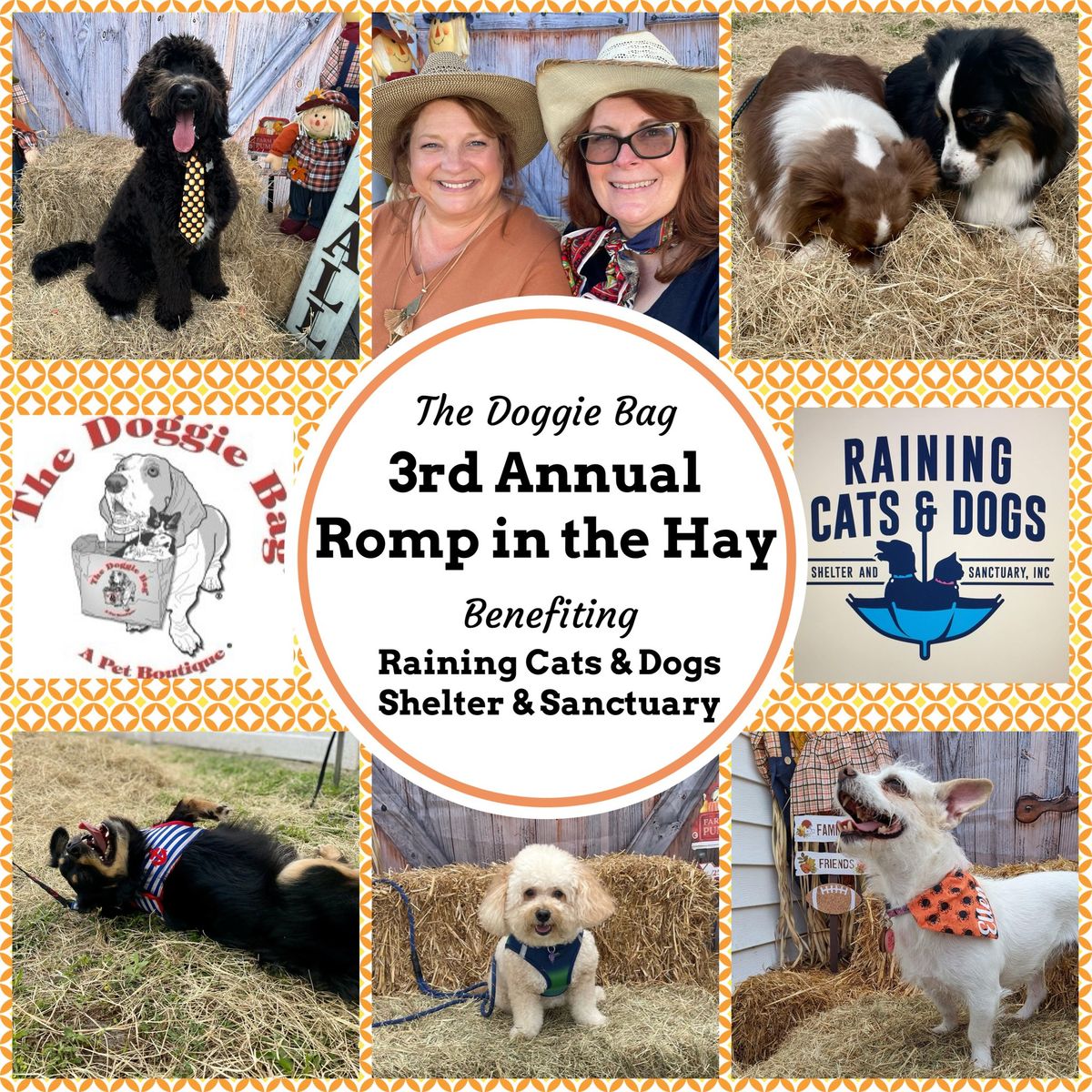 A Romp in the Hay Benefiting Raining Cats & Dogs