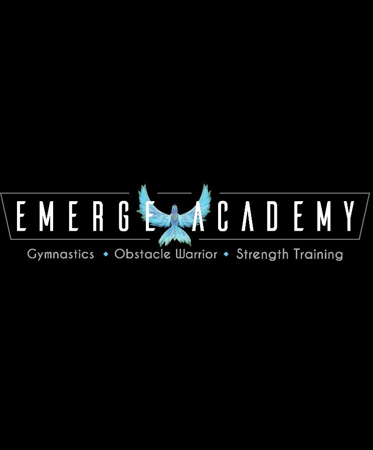 Saturday Open Gym at Emerge!