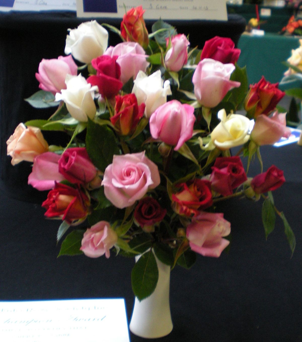 Daltons Spring Rose Show Hosted by Waikato Rose Show