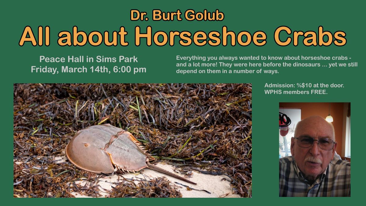 Dr. Burt Golub - All about Horseshoe Crabs