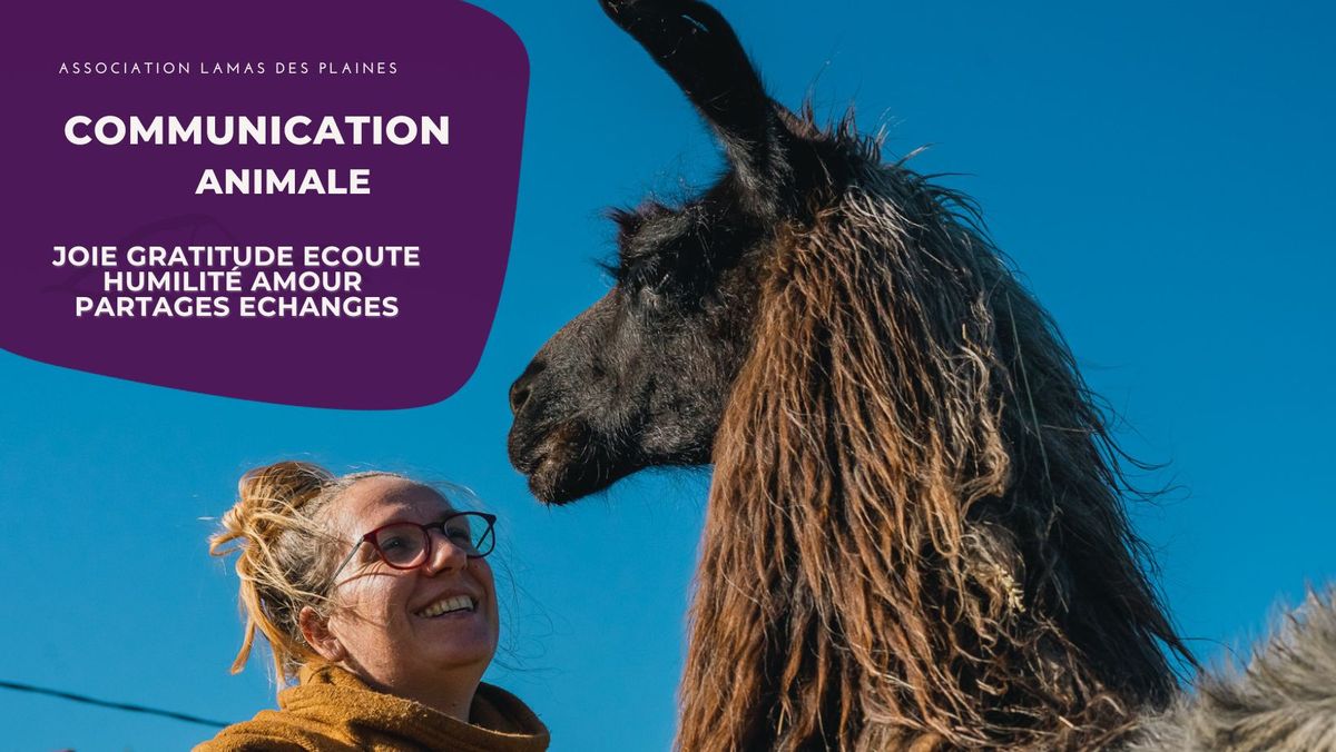 communication animale Lamas des plaines 12 & 13 octobre 2024