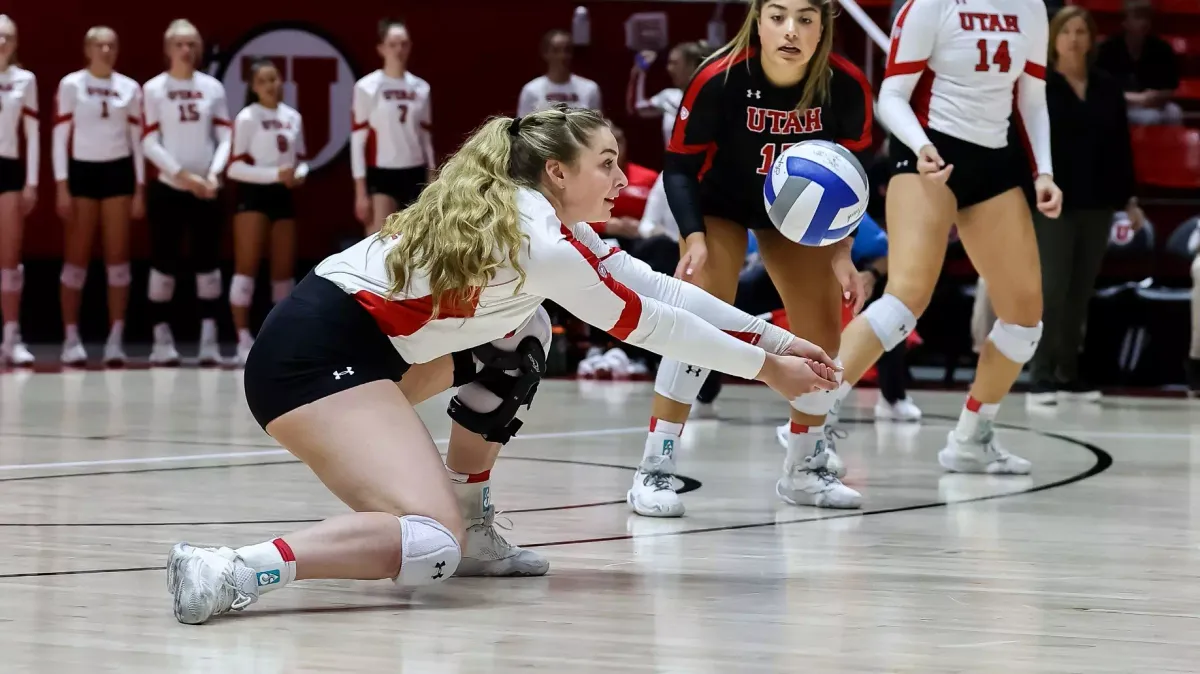 Utah Utes at Houston Cougars Womens Volleyball