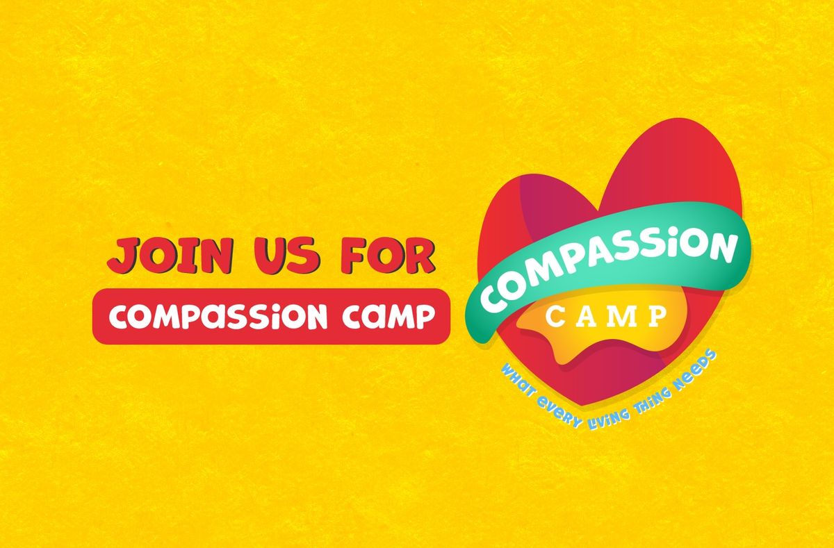 Compassion Camp: Highlands UMC VBS