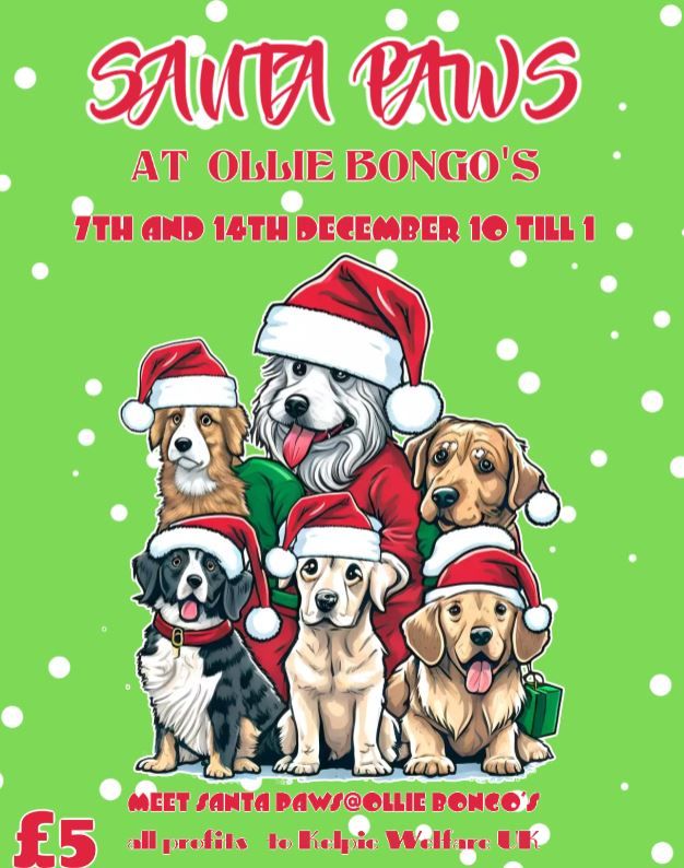 Santa Paws at Ollie Bongo's