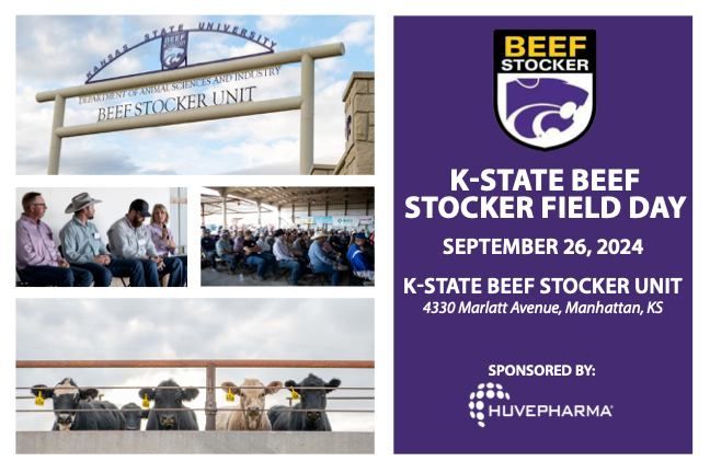 KSU Beef Stocker Field Day