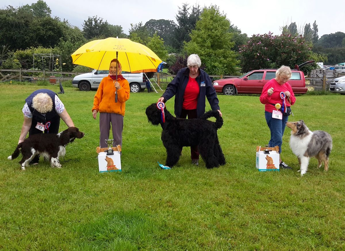 Vron Gate Companion Dog Show 