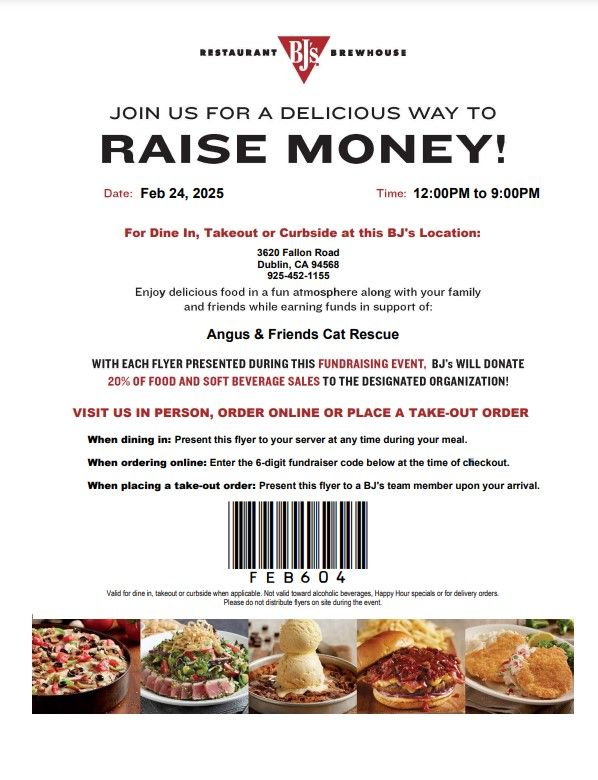 Eat at BJ's Restaurant - Fundraiser for Angus & Friends Cat Rescue