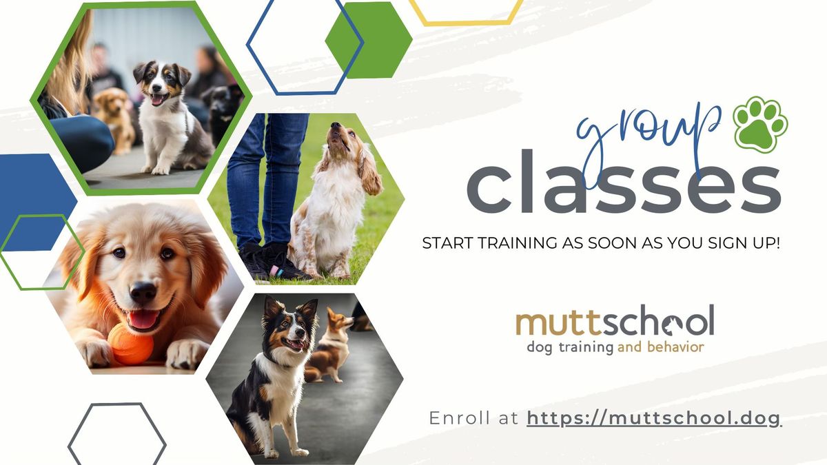 Join a Group Class today!