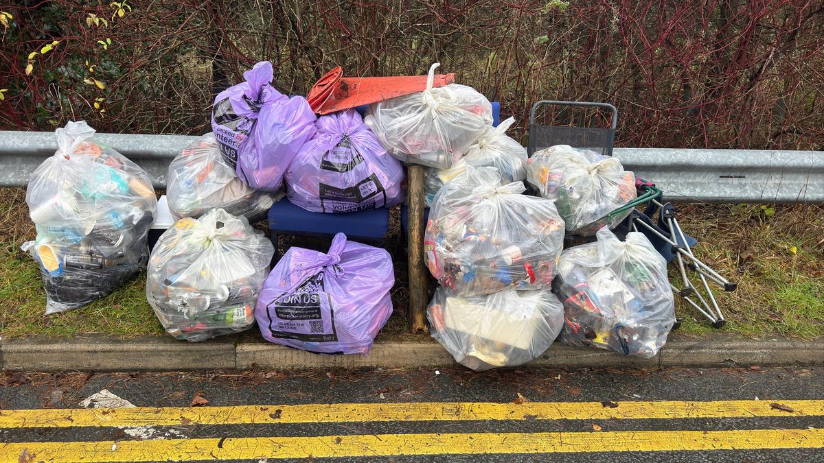 Post Xmas Litter Pick - Whitefield