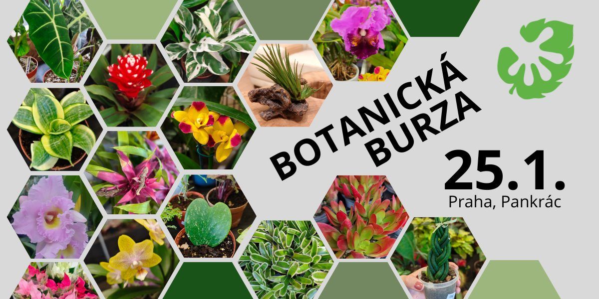 BOTANICK\u00c1 BURZA - v\u00fdstavn\u00ed a prodejn\u00ed botanick\u00e1 burza