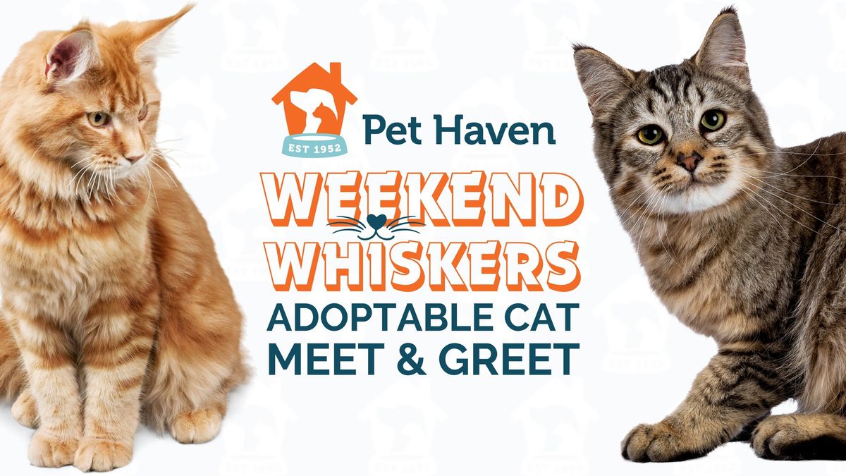 Weekend Whiskers! Adoptable Cat Meet & Greet!