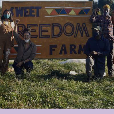 Sweet Freedom Farm