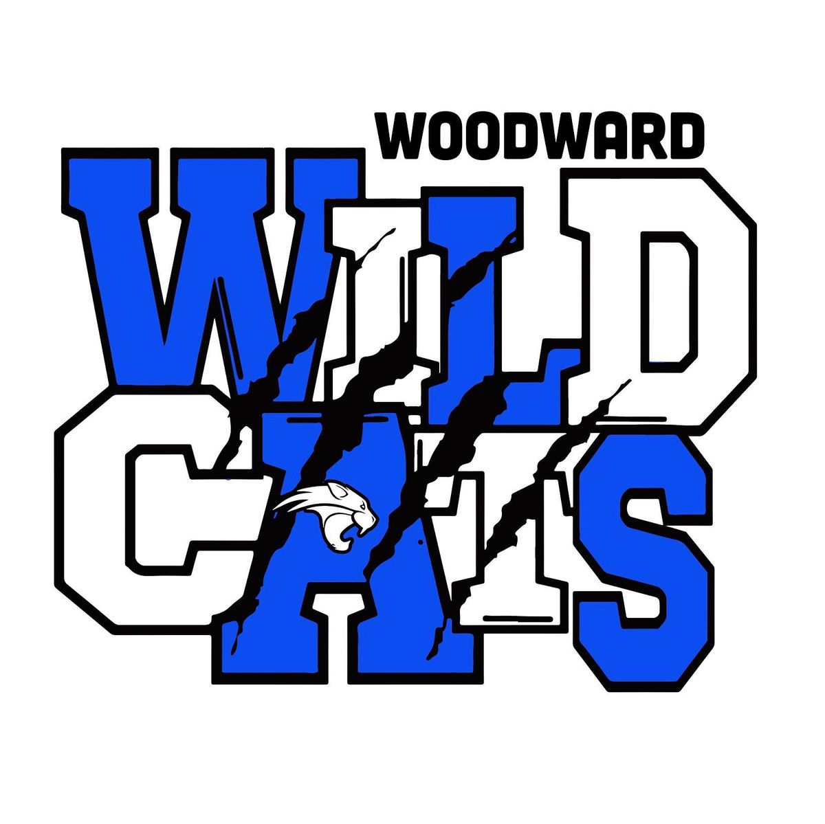 Woodward Elementary PTO November Meeting