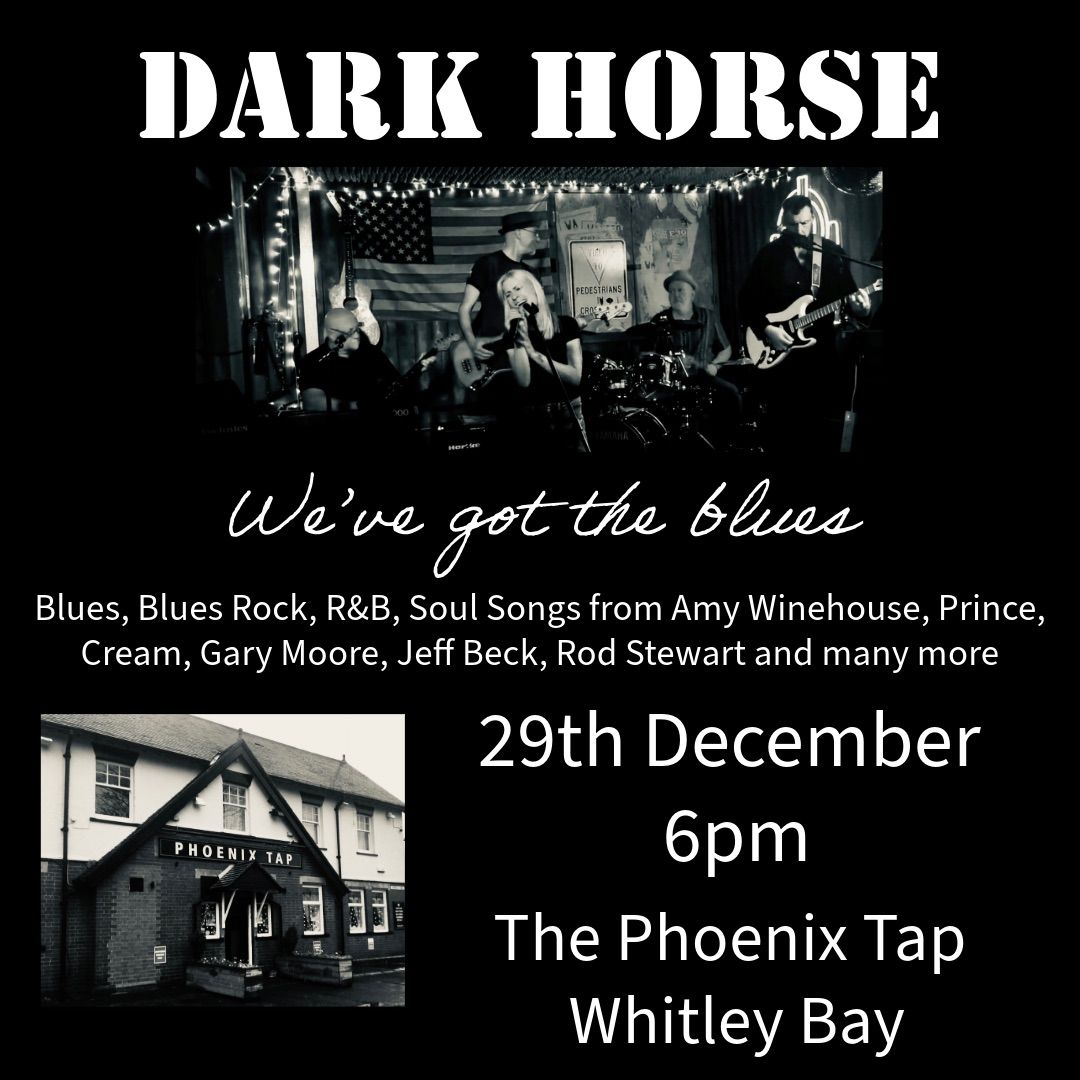 Dark Horse at The Phoenix Tap, Whitley Bay