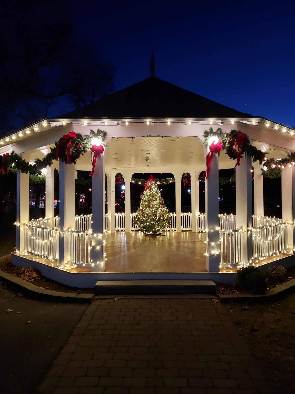 VENDORS ONLY - Palmerton's Christmas in the Park