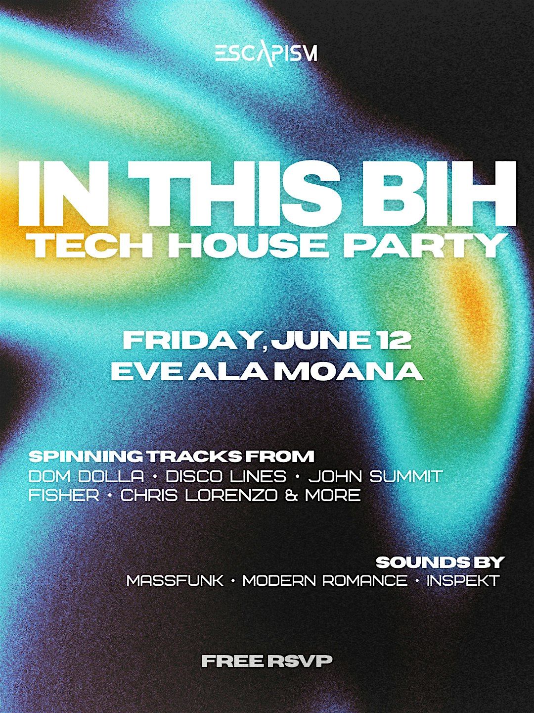 IN THIS BIH - TECH HOUSE DANCE PARTY