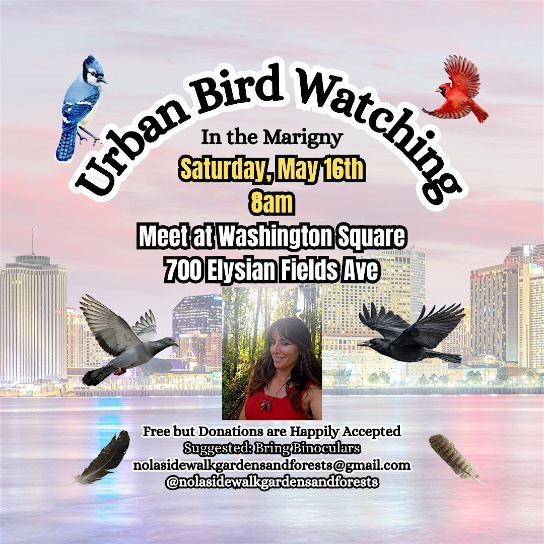 Urban Bird Watching in the Marigny