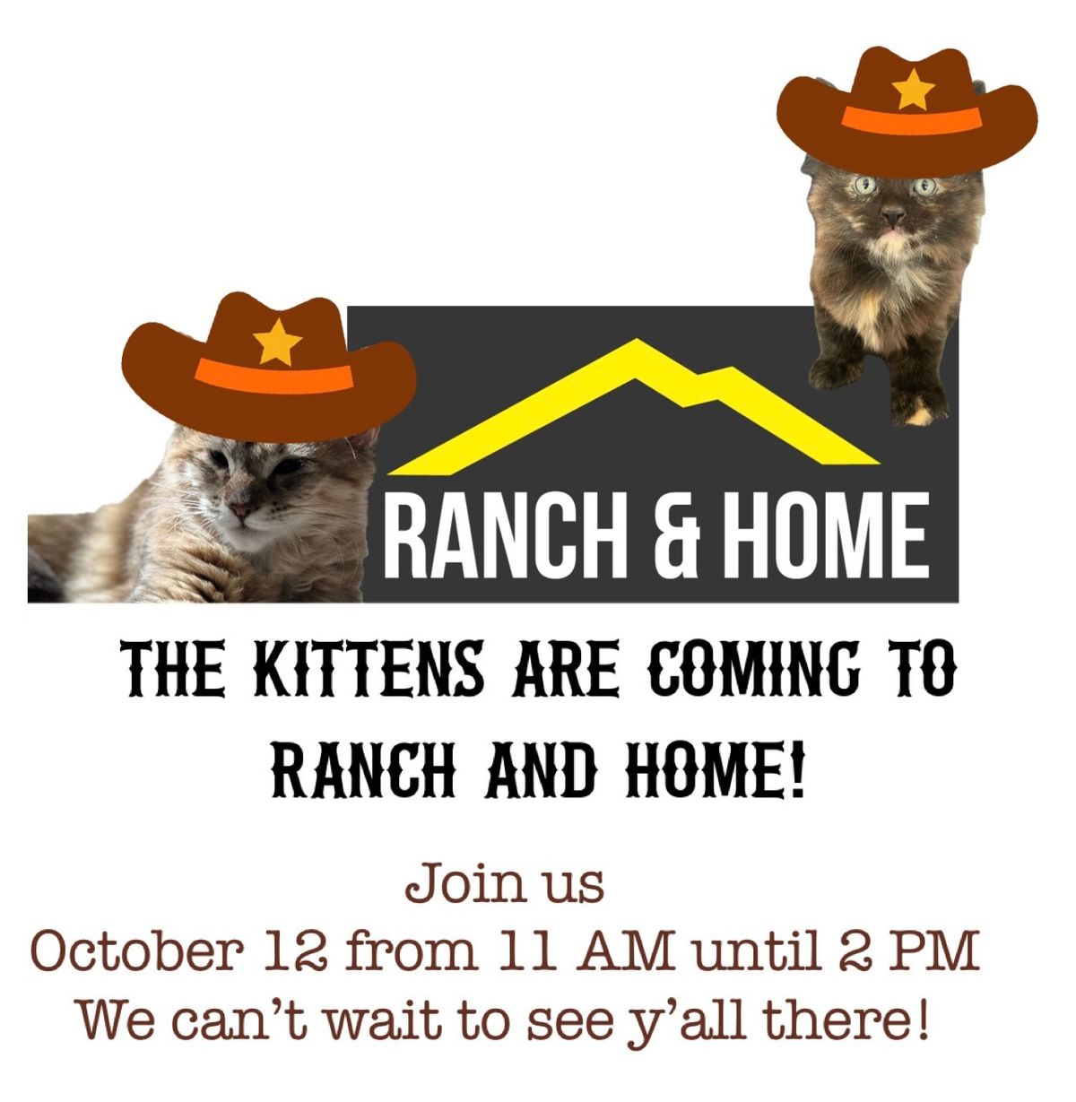 Adoption event at Ranch and Home