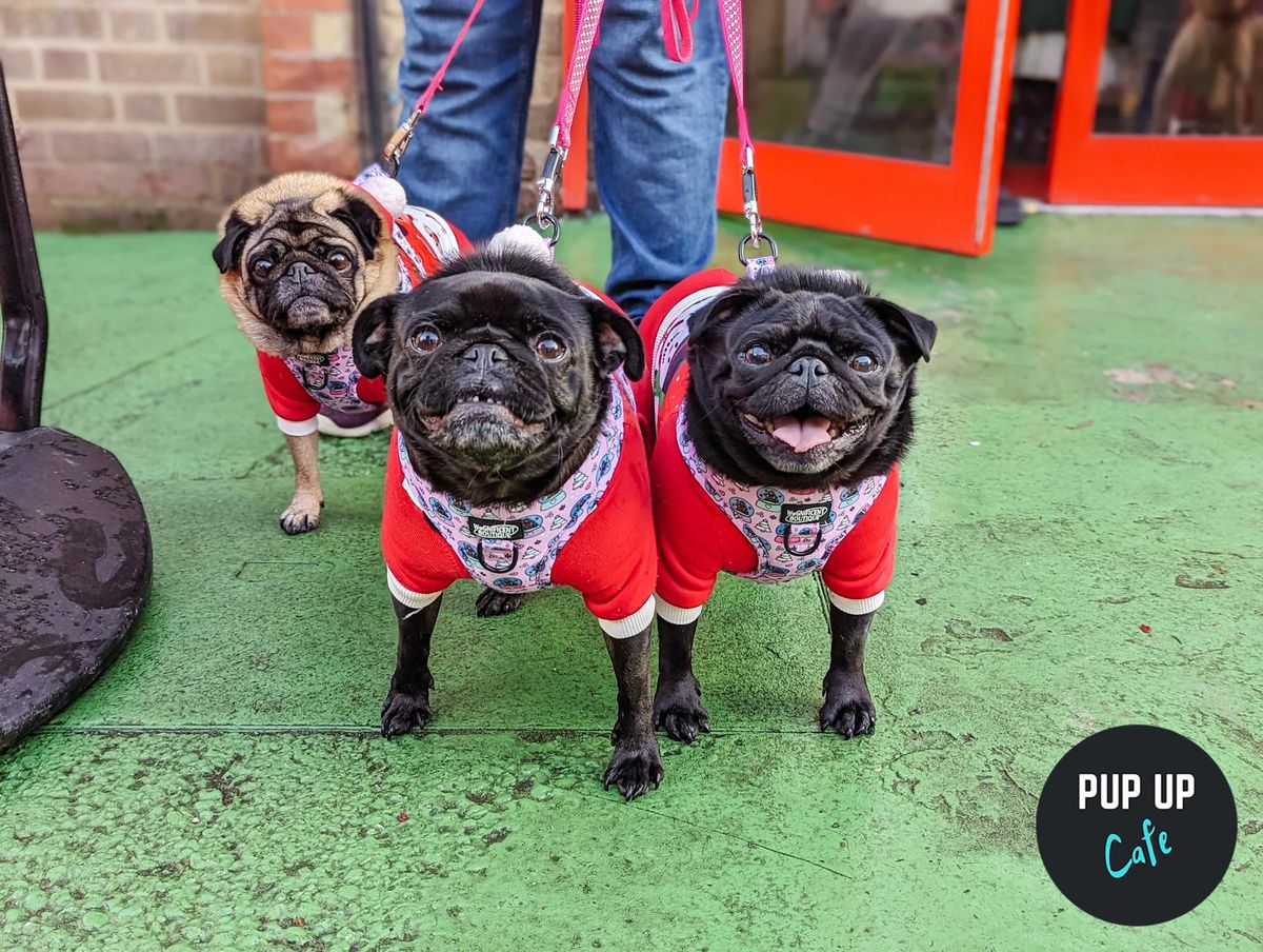 Liverpool - The Pug Christmas Tour \ud83e\uddd1\ud83c\udffc\u200d\ud83c\udf84