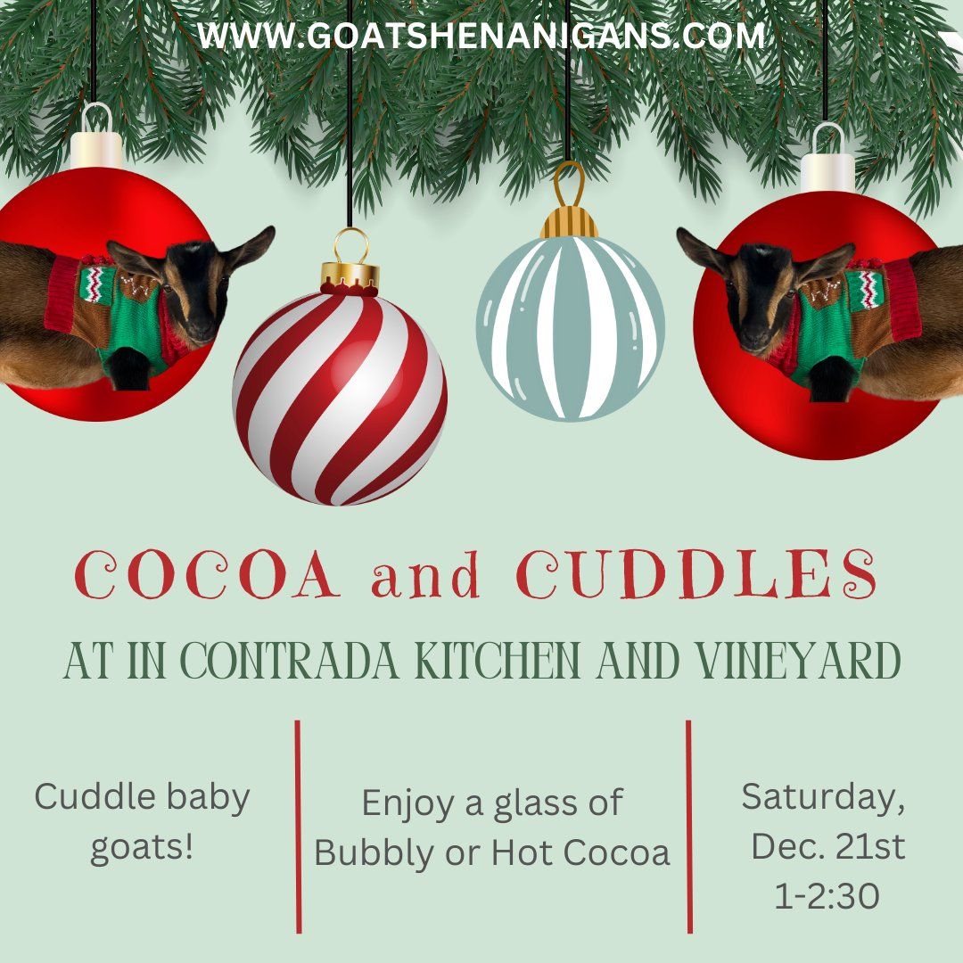 Cocoa and Cuddles with Santa (San Antonio)