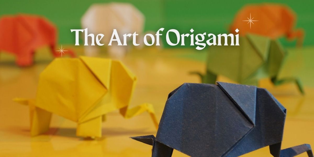 The Art of Origami (For Beginners)