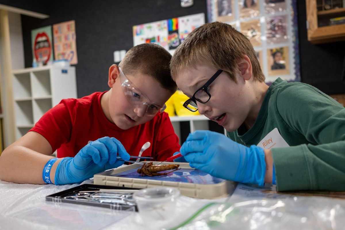 Homeschool Discovery Day - Biology