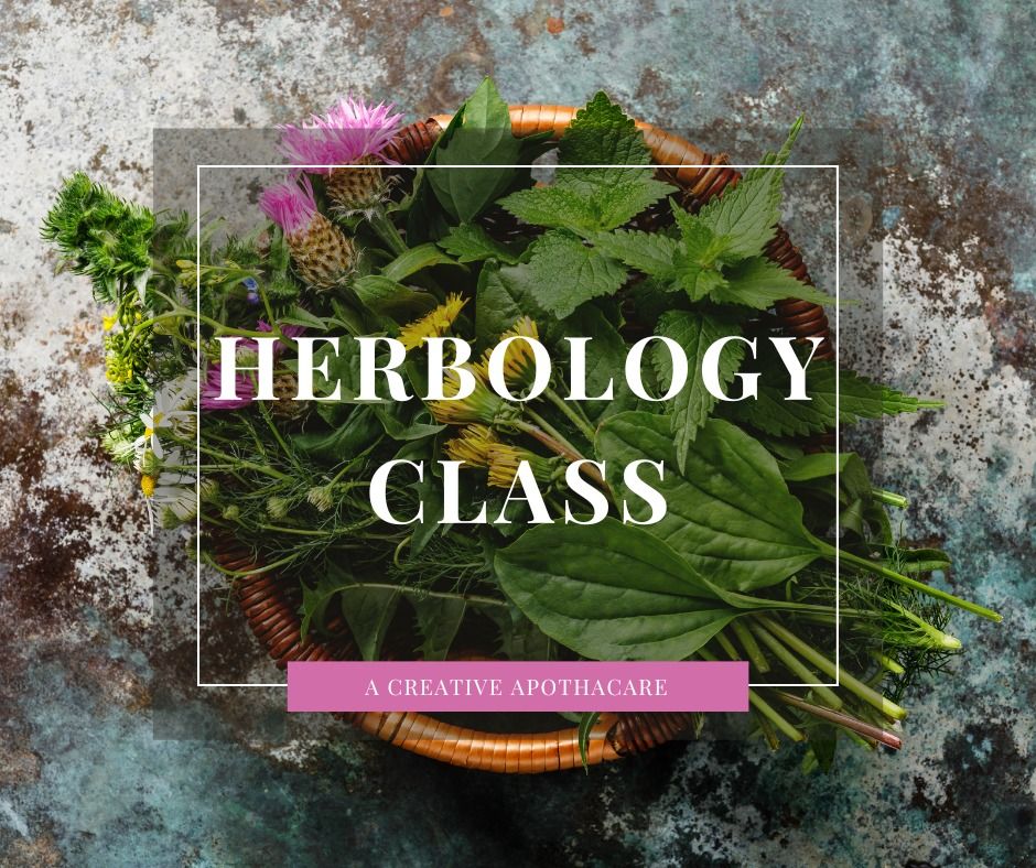 Herbology Class