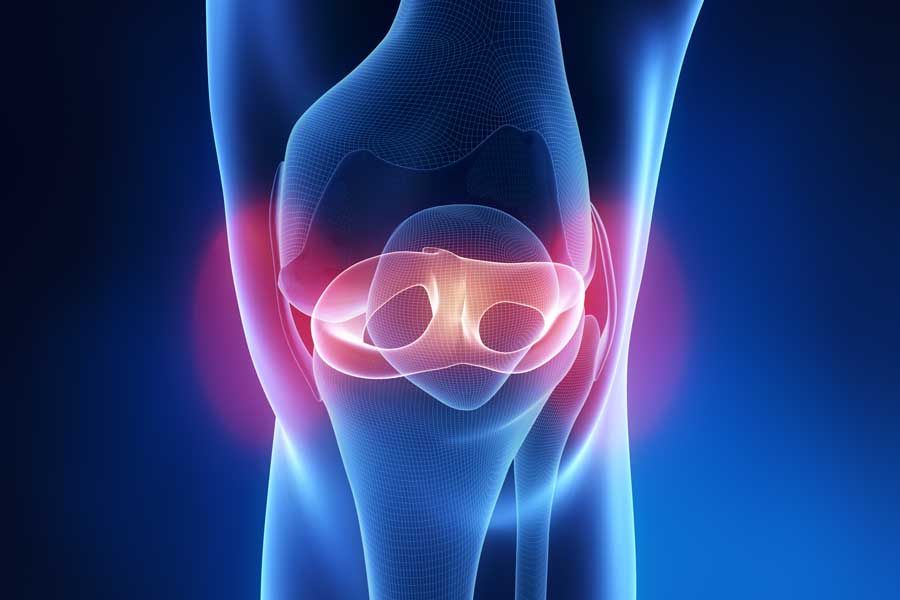 Orthopedic Study Group - Meniscus