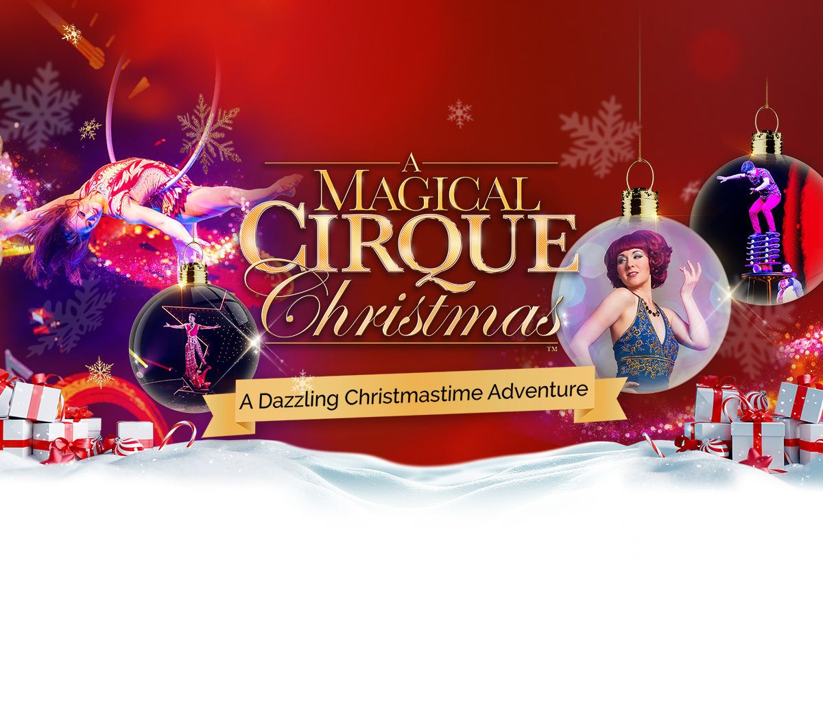 A Magical Cirque Christmas Dinner