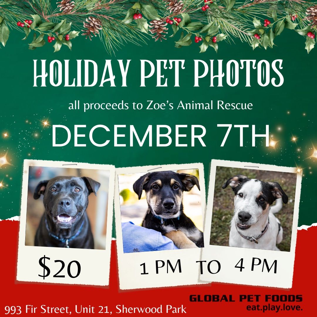 Holiday Pet Photos 