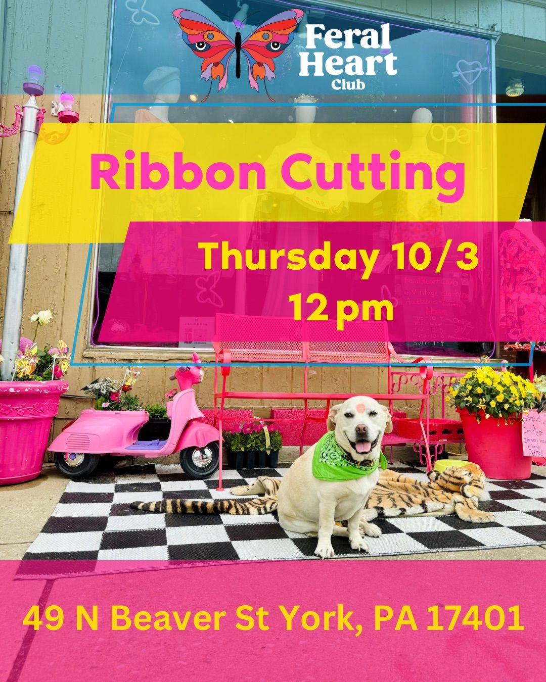 Ribbon Cutting 