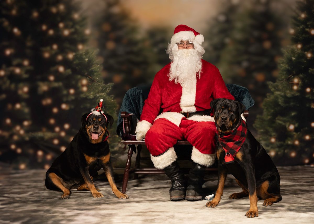 Pet Photos with Santa