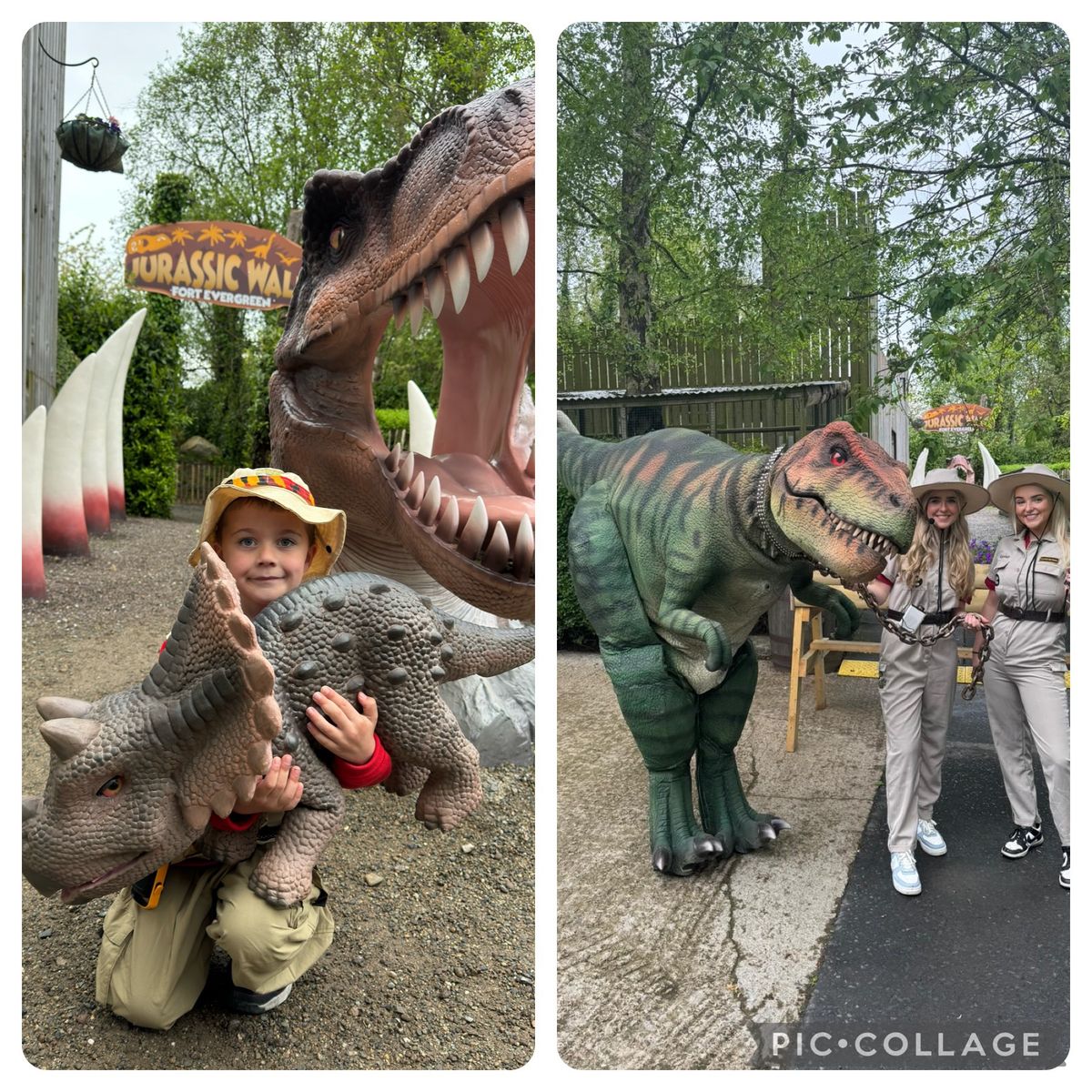 Dino Day Meet & Greet