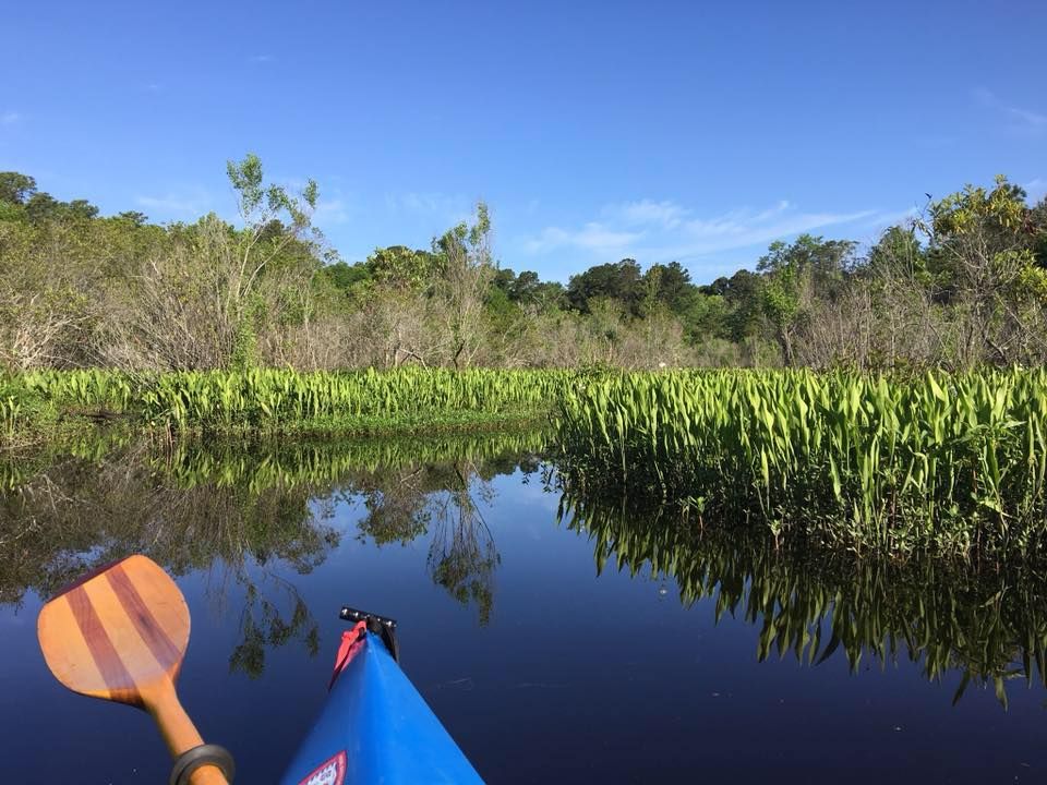 35th Annual Alabama Coastal Cleanup at Dog River Park, 2459 N Dog River
