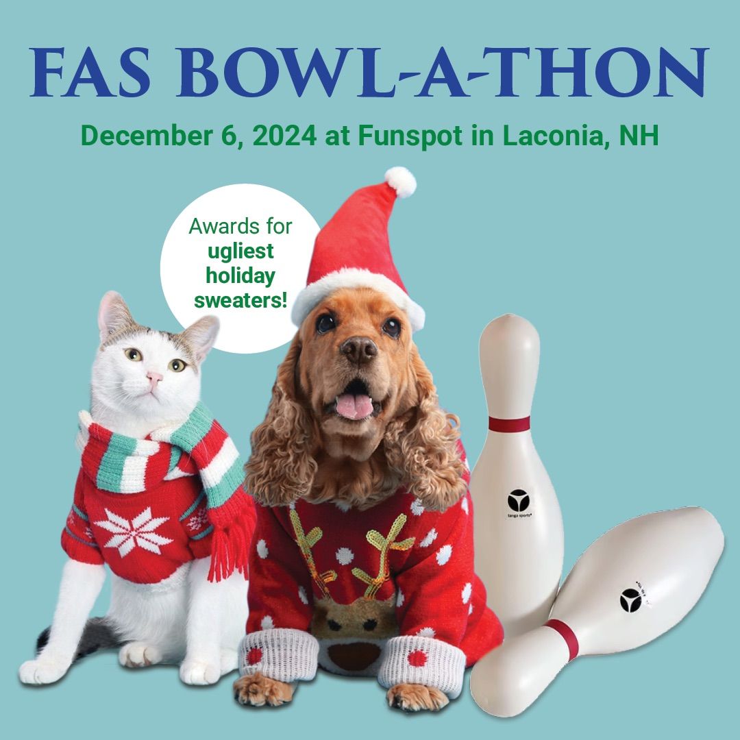 FAS 3rd Annual Bowl-a-Thon 