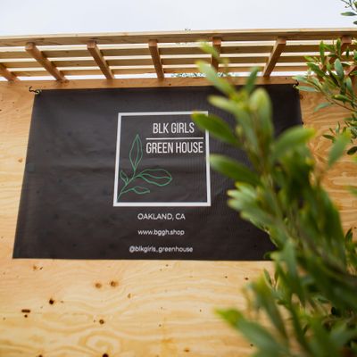 Blk Girls Green House