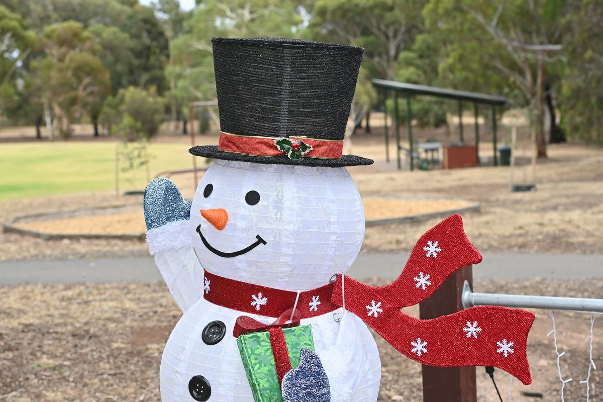 Christmas in the Park at CC Hood Reserve