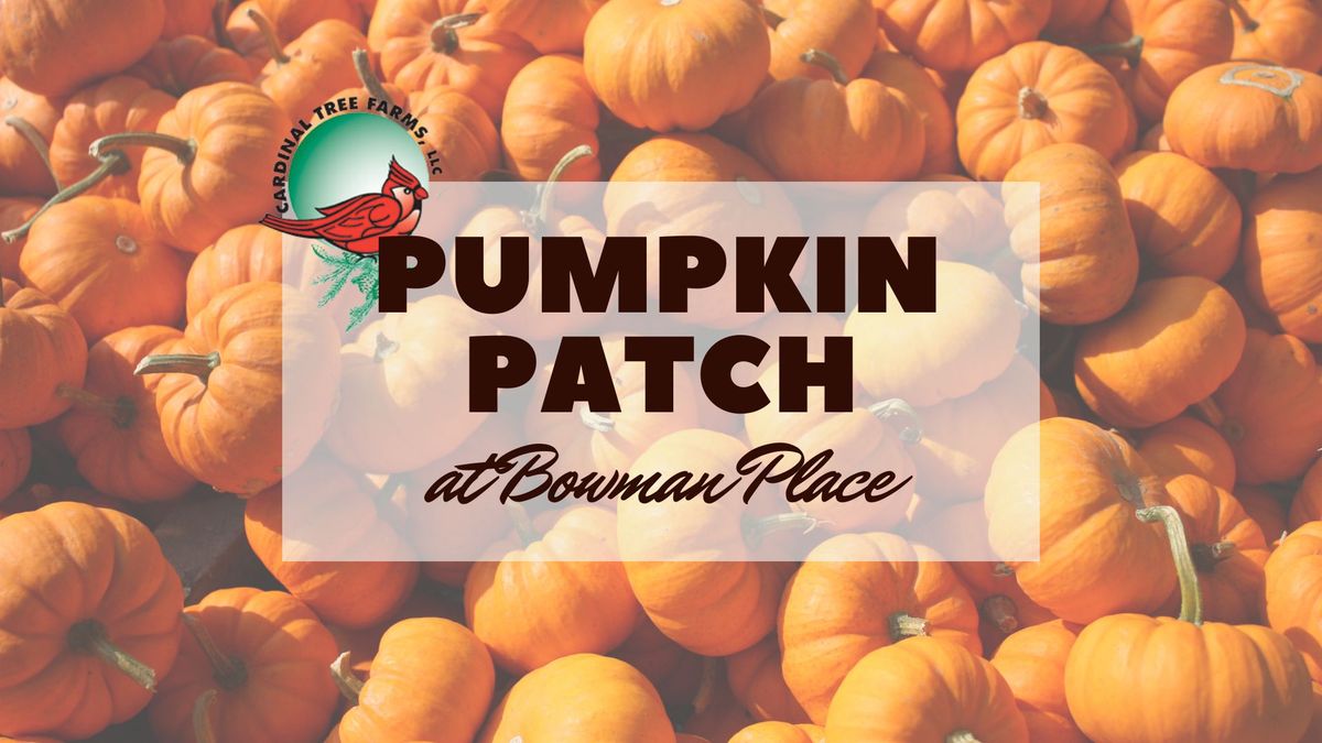 Pumpkin Patch  - Cardinal Tree Farms