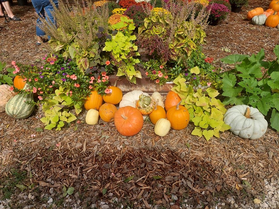 Family Farm Day