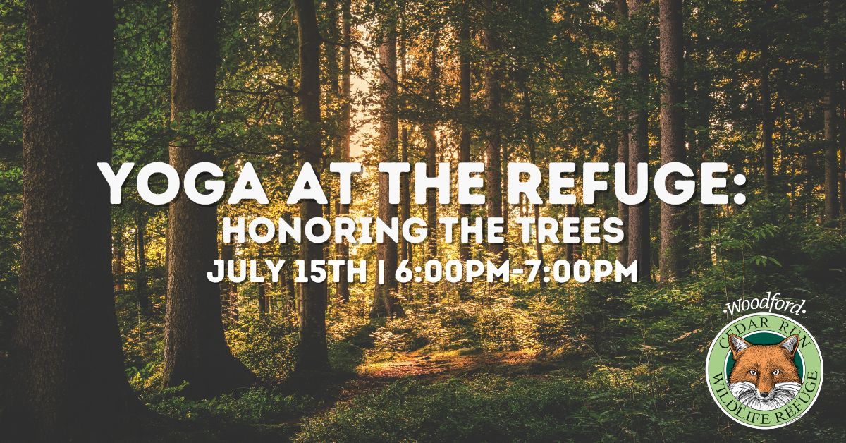Yoga at the Refuge: Honoring the Trees