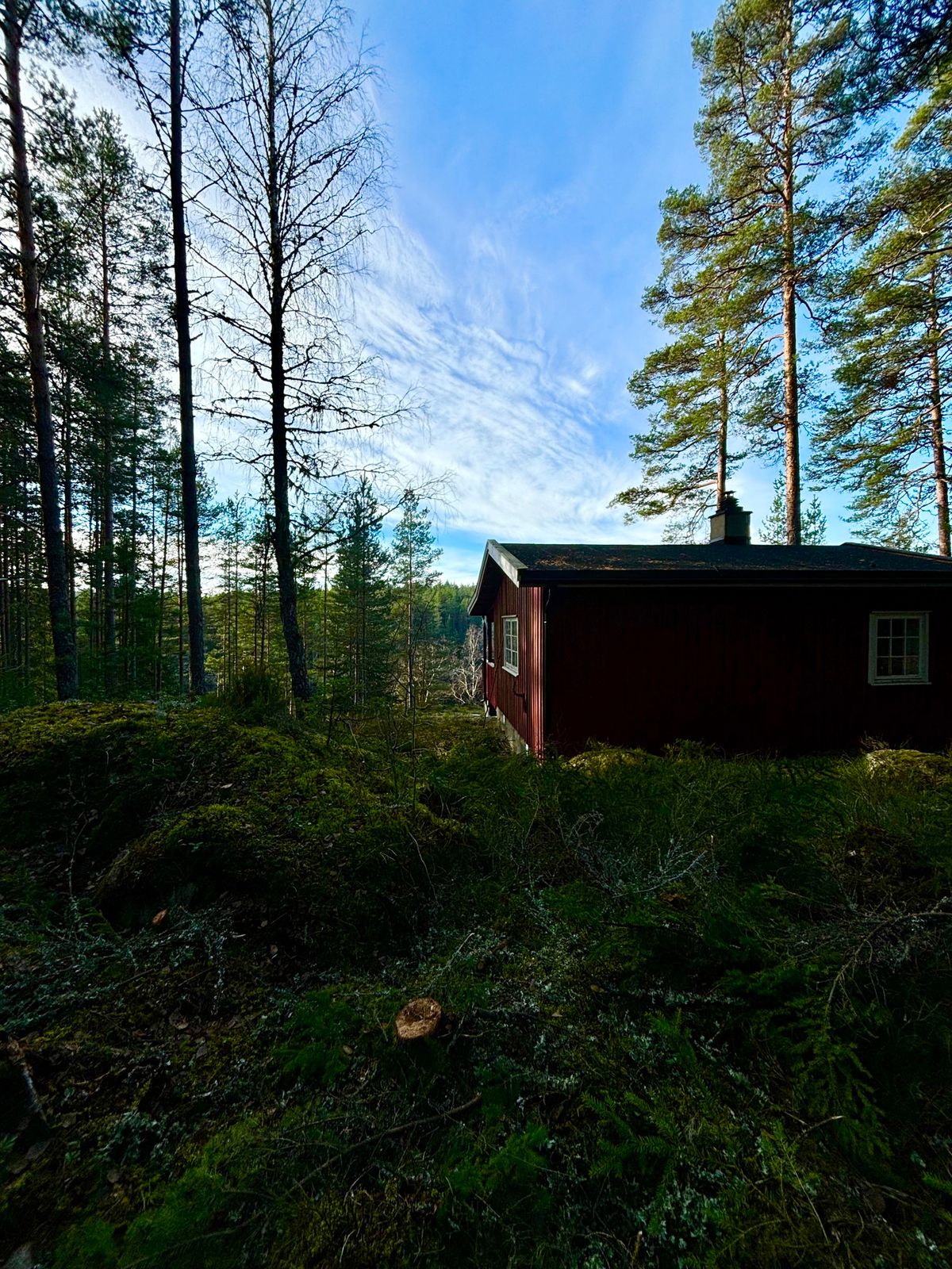 B\u00e5ltur til den nye DNT hytta - Evjenhytta