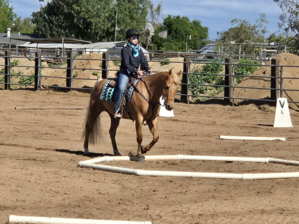 Cowboy Dressage Clinic and Ride a Test Sessions