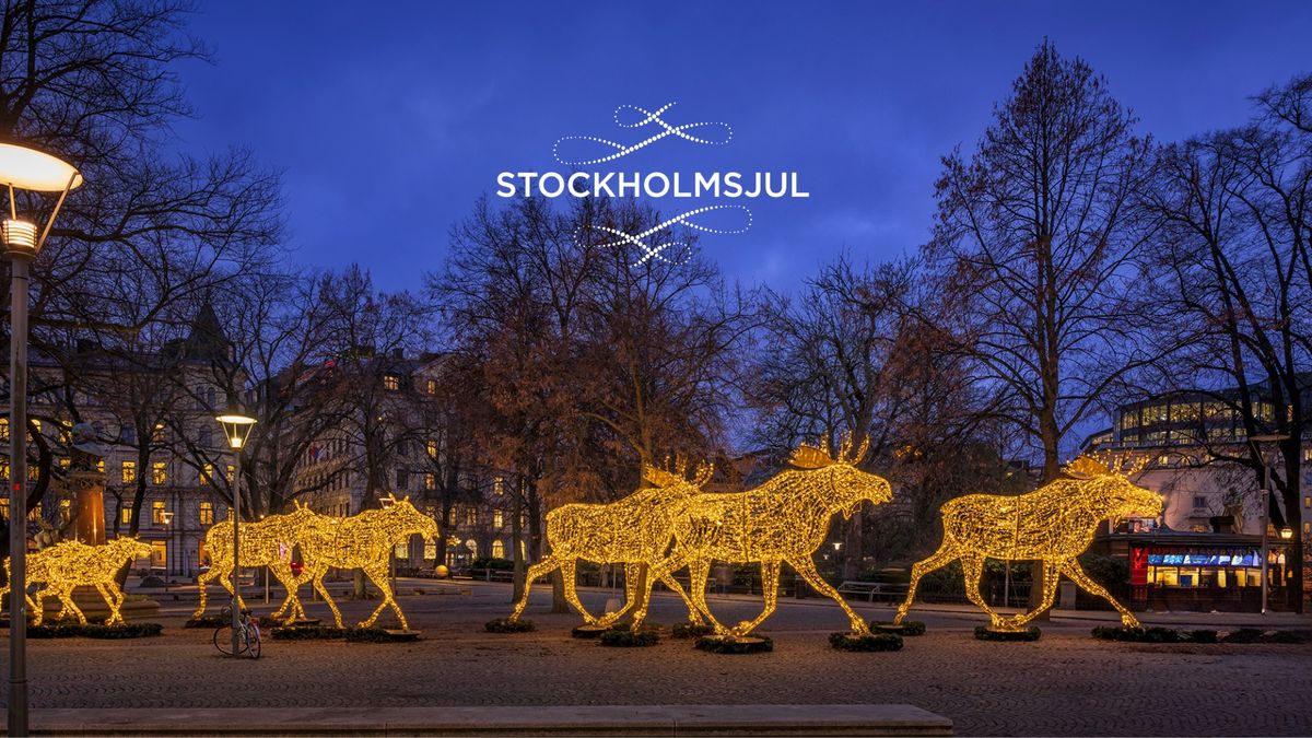 Invigning av Stockholmsjul 2024