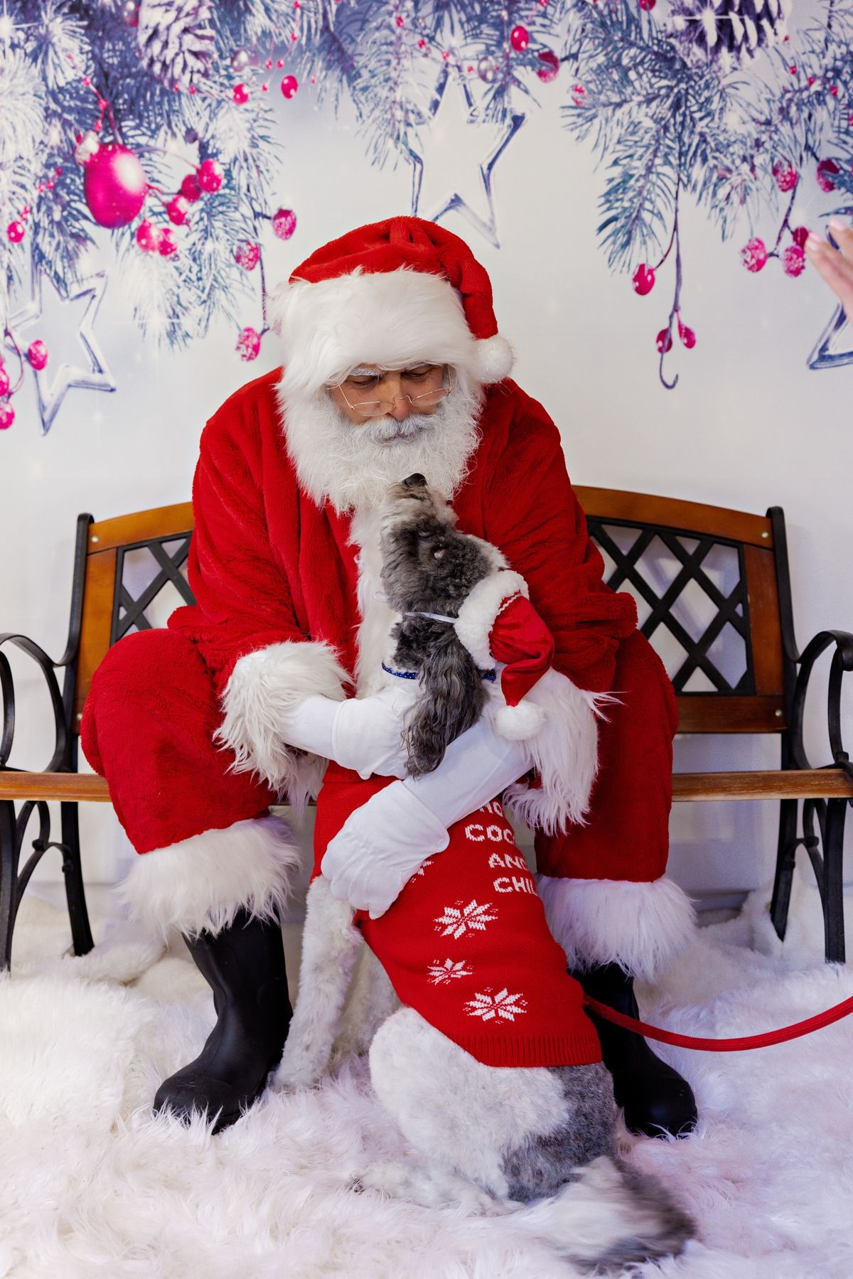 Photos with Santa 