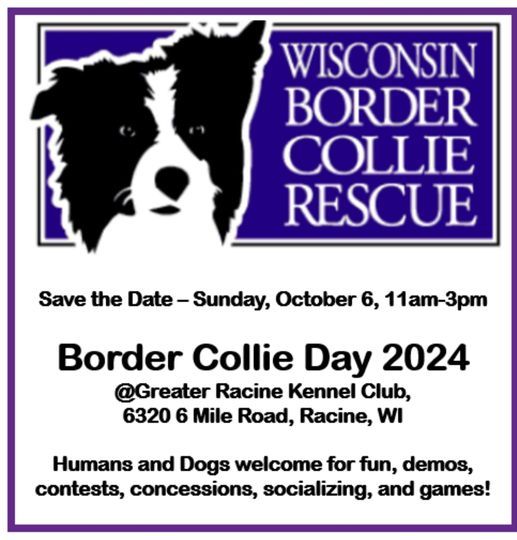 Border Collie Day 2024