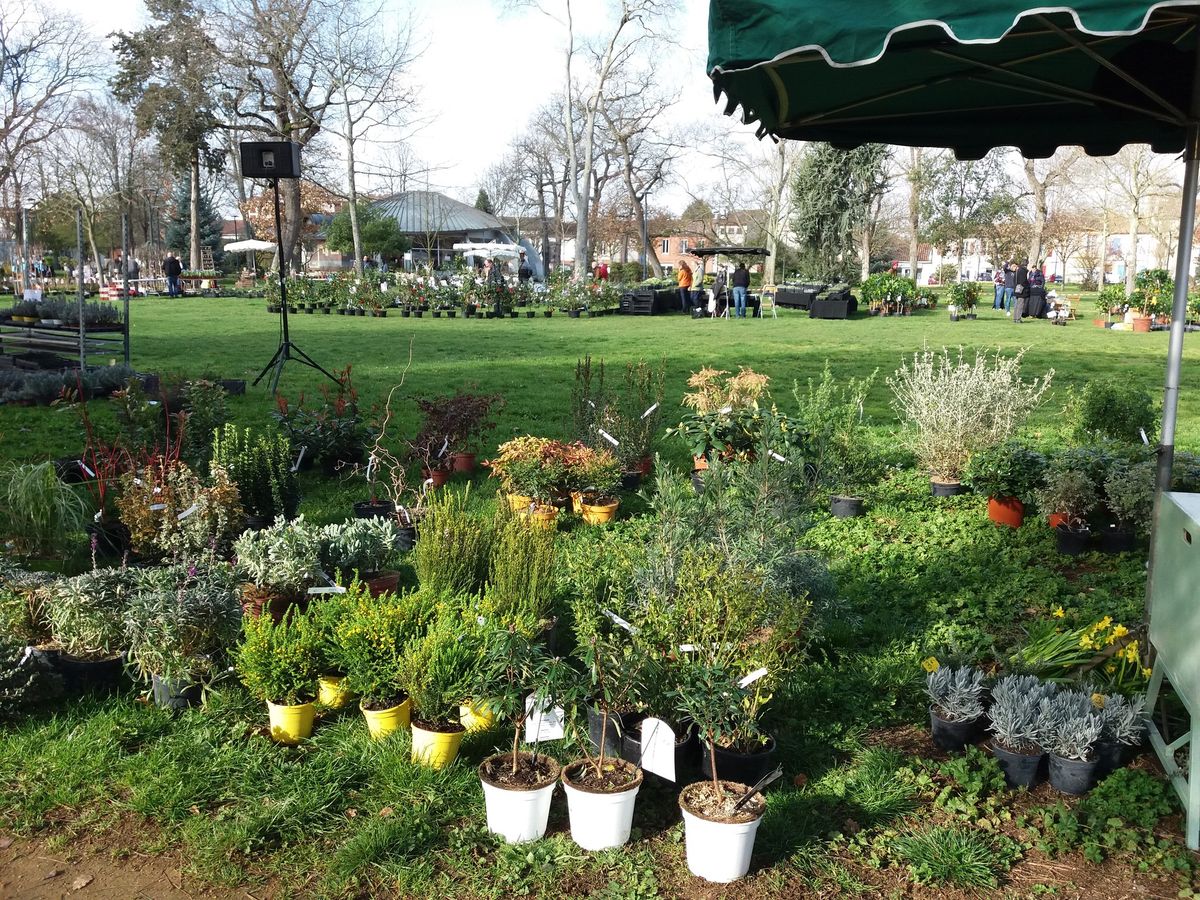 FOIRE AUX PLANTES DE COLOMIERS