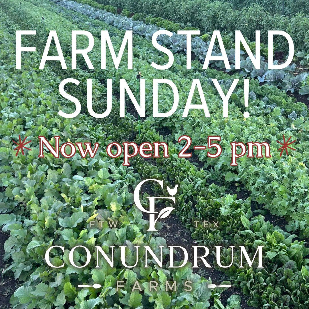 Farm Stand Sunday Funday